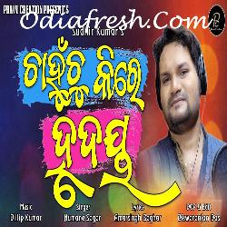 Chanhuchu kire Hrudaya